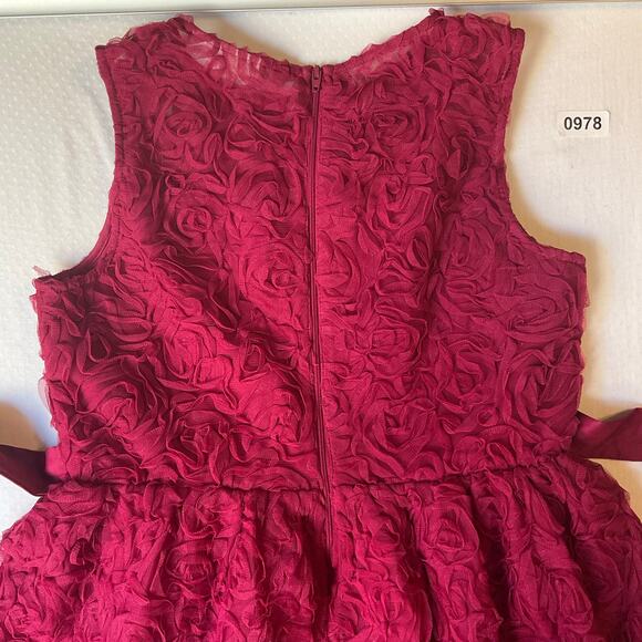 CRB Youth Girl Rose Dress size 16 Deep Pink Sleeveless Knee Length Princess - Picture 11 of 11